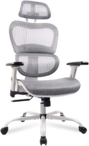 Ergoal One Office Chair 183x300