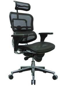 Ergohuman High Back Chair 225x300